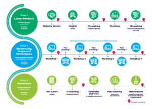 Timeline describing the 3 stages of the Director leadership development program: leader mindsets, stewardship, people and performance, and momentum